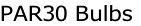 PAR30 Bulbs
