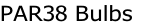 PAR38 Bulbs
